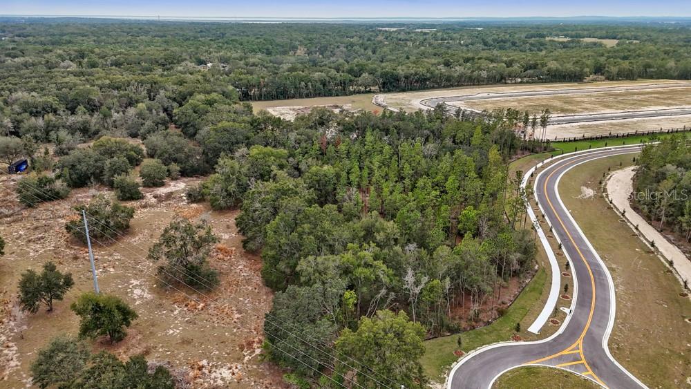 FOOTHILLS OF MOUNT DORA PHASE 4-2 - Land
