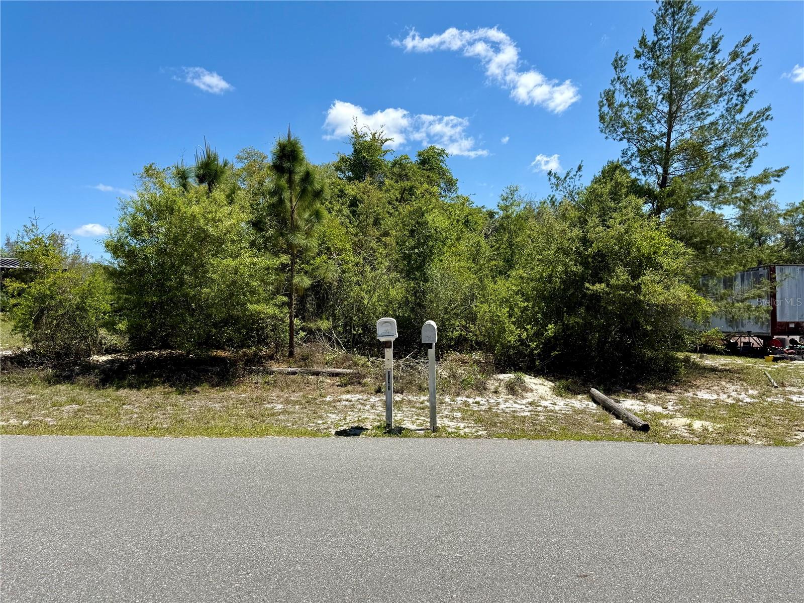 This prime building lot offers the perfect foundation for your dream home or investment opportunity. Located in a rapidly growing area between Deland and Eustis, the lot is just 13 minutes away from Publix. Manufactured or mobile homes are permitted, making it a versatile option for a variety of needs. Don't miss the opportunity to see this remarkable Lot. Schedule your visit today!!