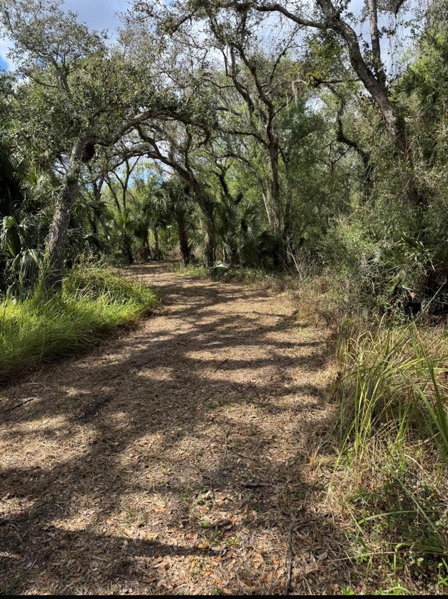 ACREAGE - Land