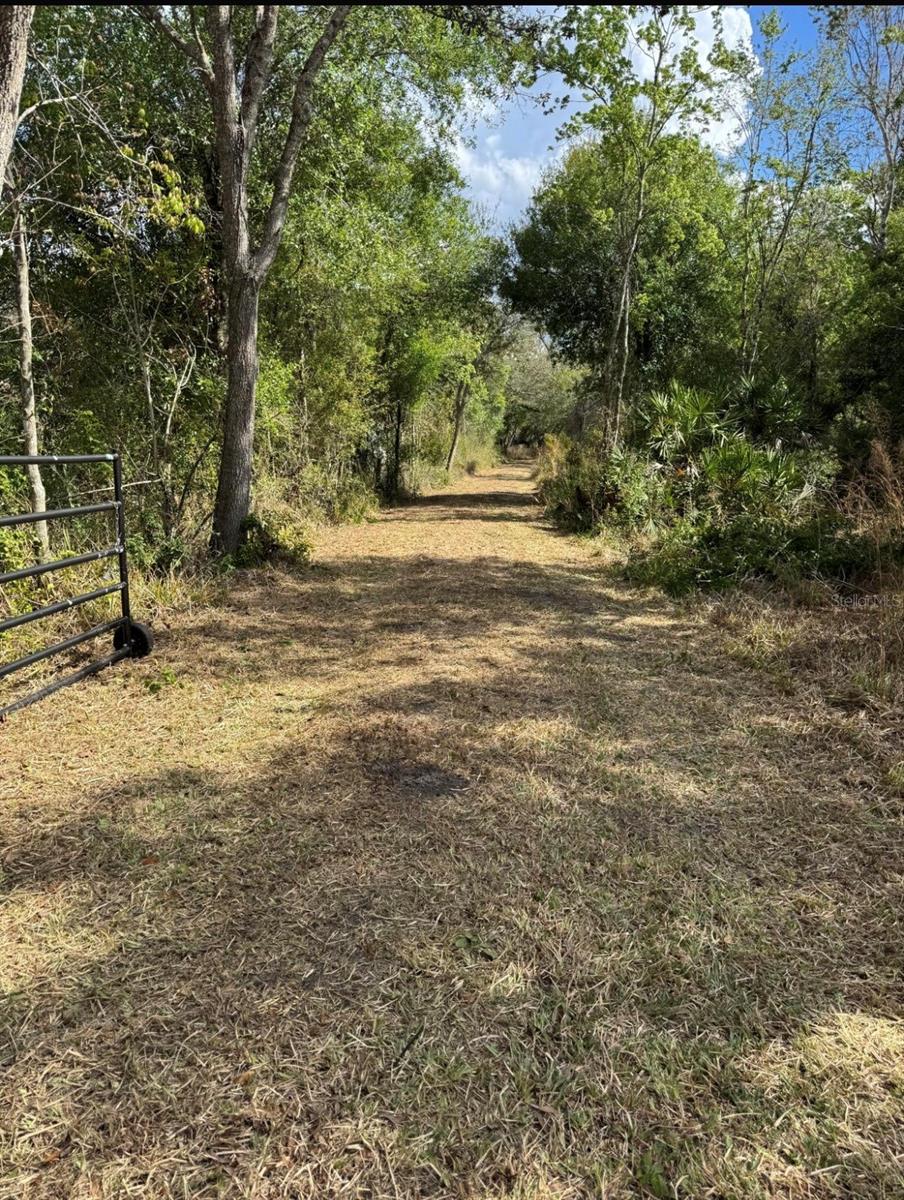 ACREAGE - Land
