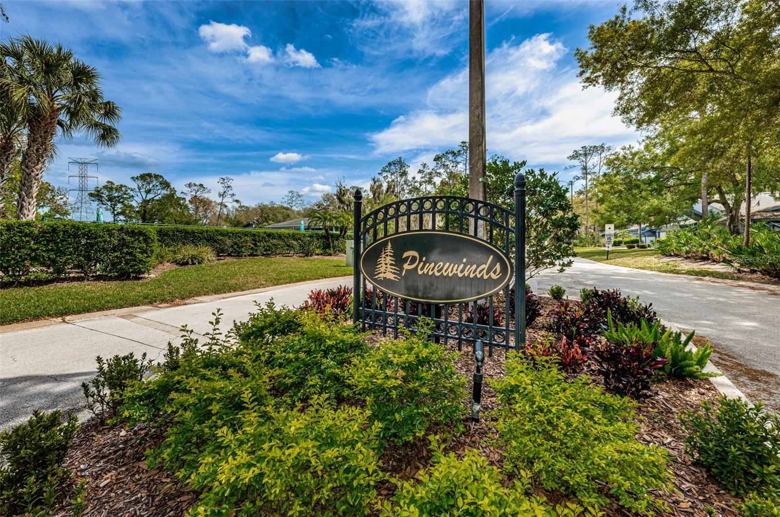 EAST LAKE WOODLANDS PINEWINDS - Residential