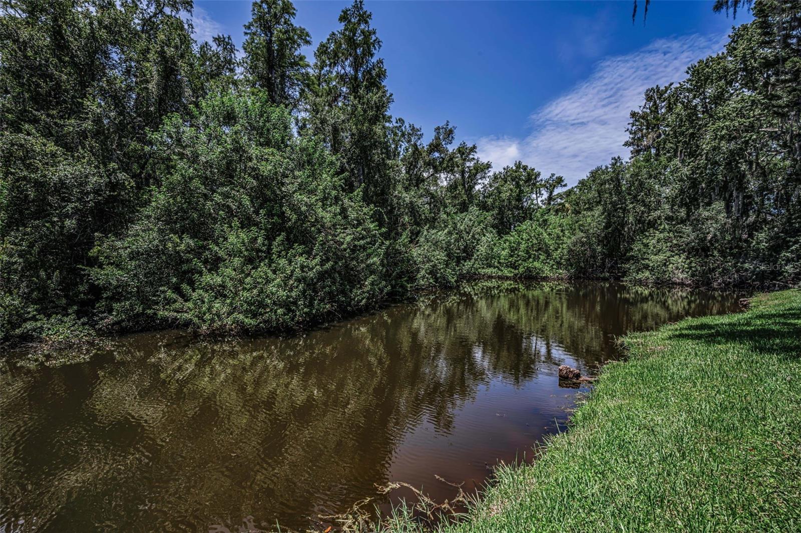 EAST LAKE WOODLANDS PINEWINDS - Residential