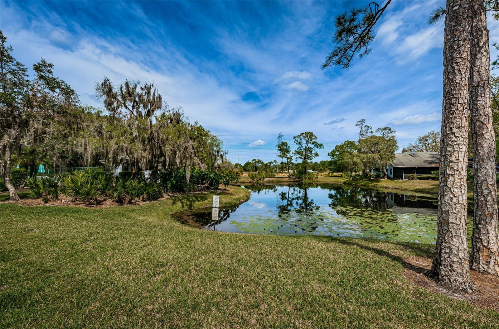 EAST LAKE WOODLANDS PINEWINDS - Residential