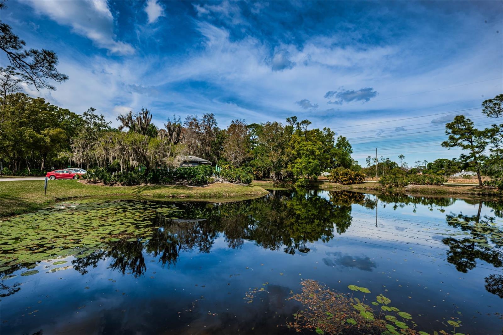 EAST LAKE WOODLANDS PINEWINDS - Residential