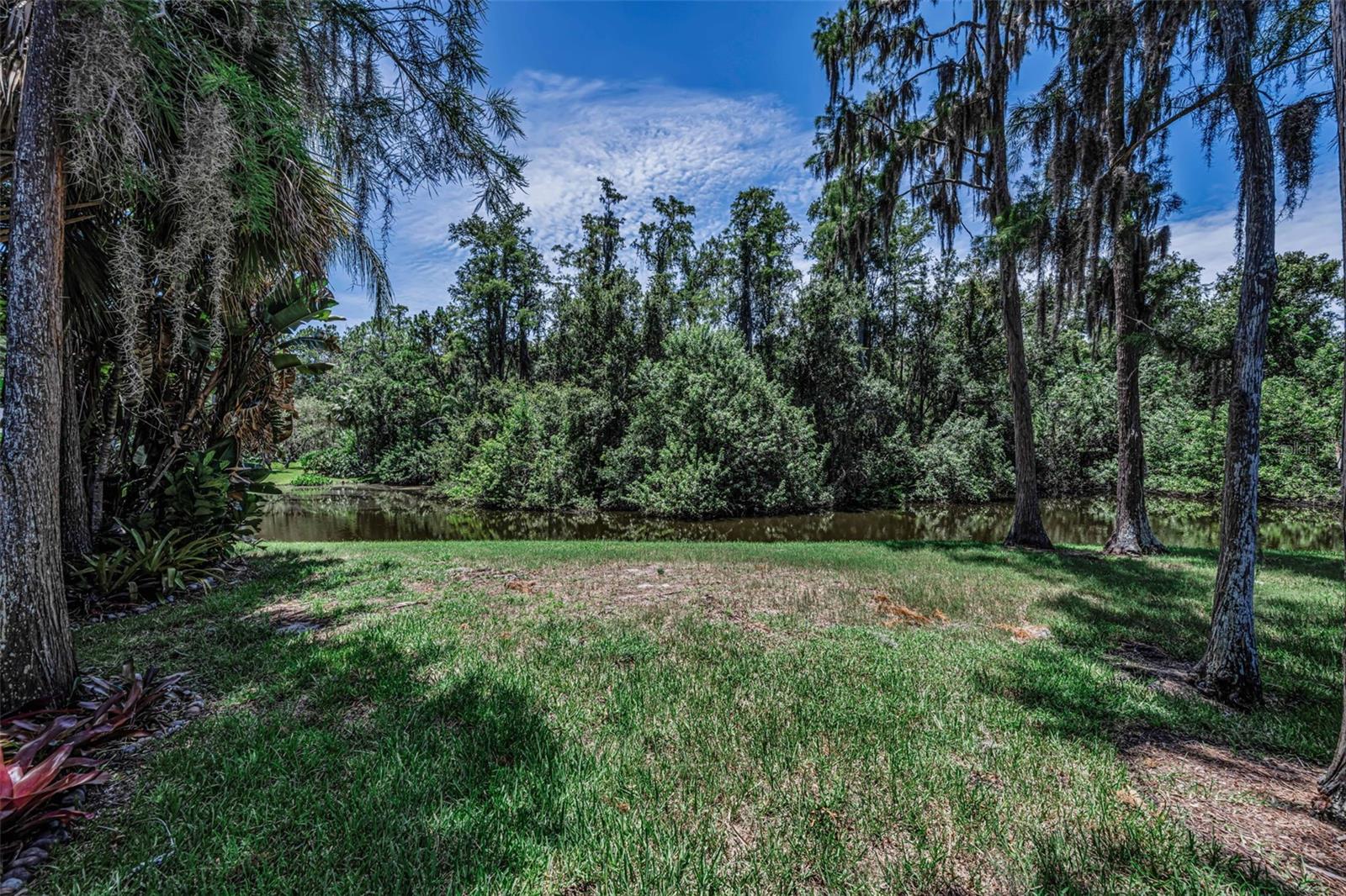 EAST LAKE WOODLANDS PINEWINDS - Residential