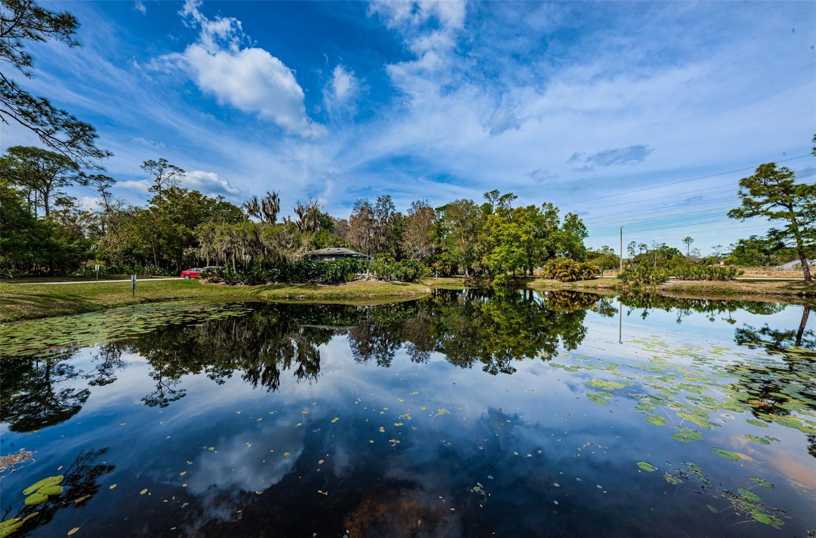 EAST LAKE WOODLANDS PINEWINDS - Residential