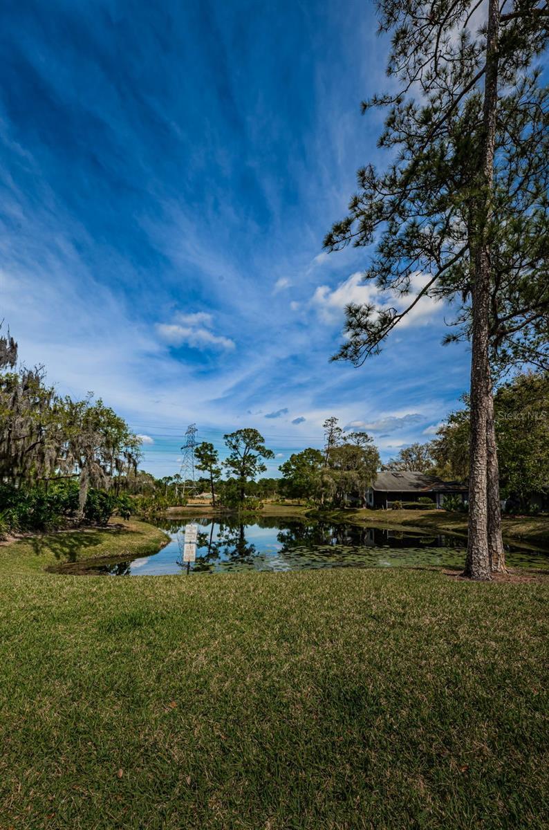 EAST LAKE WOODLANDS PINEWINDS - Residential