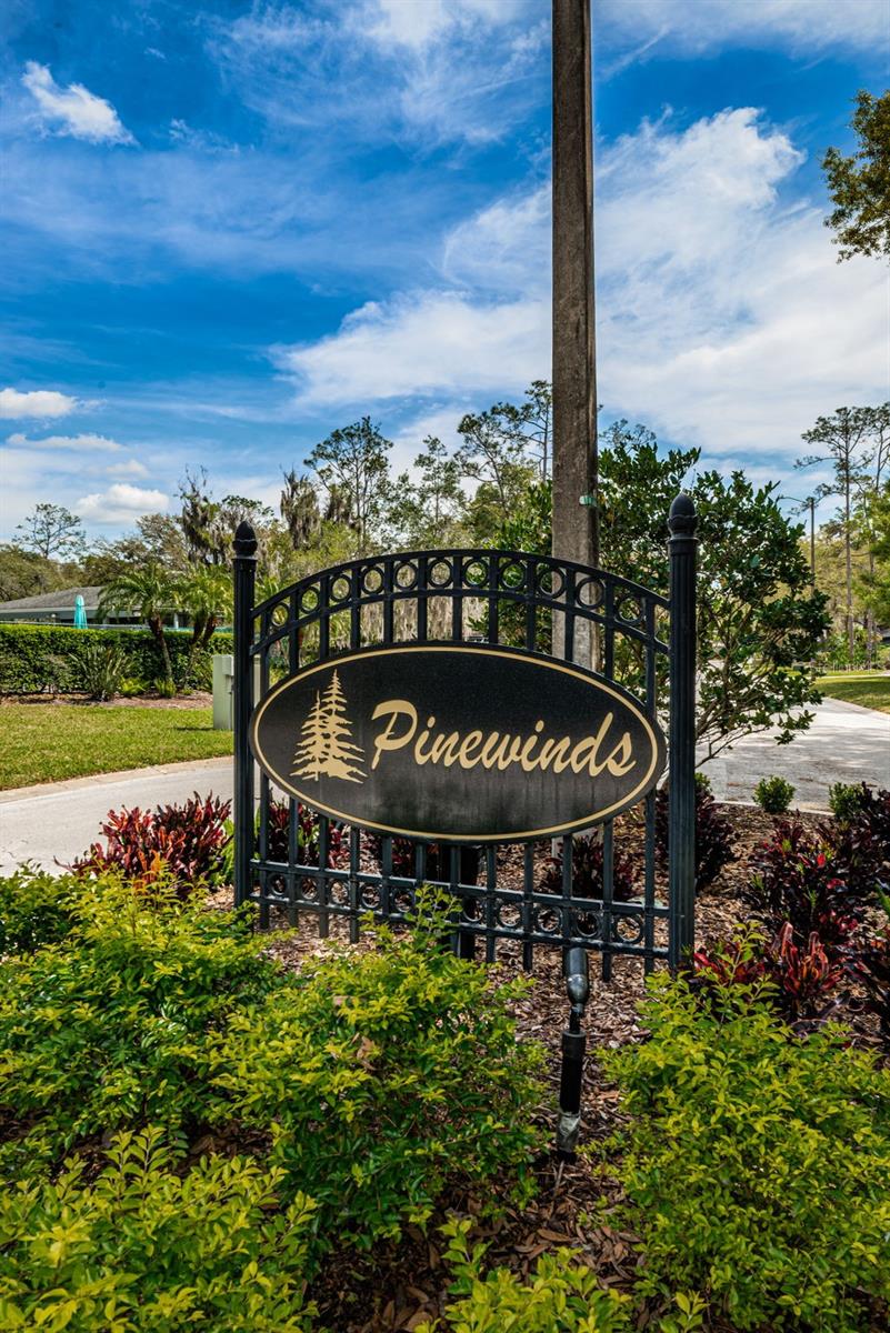 EAST LAKE WOODLANDS PINEWINDS - Residential