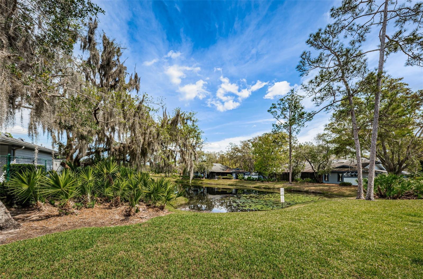 EAST LAKE WOODLANDS PINEWINDS - Residential
