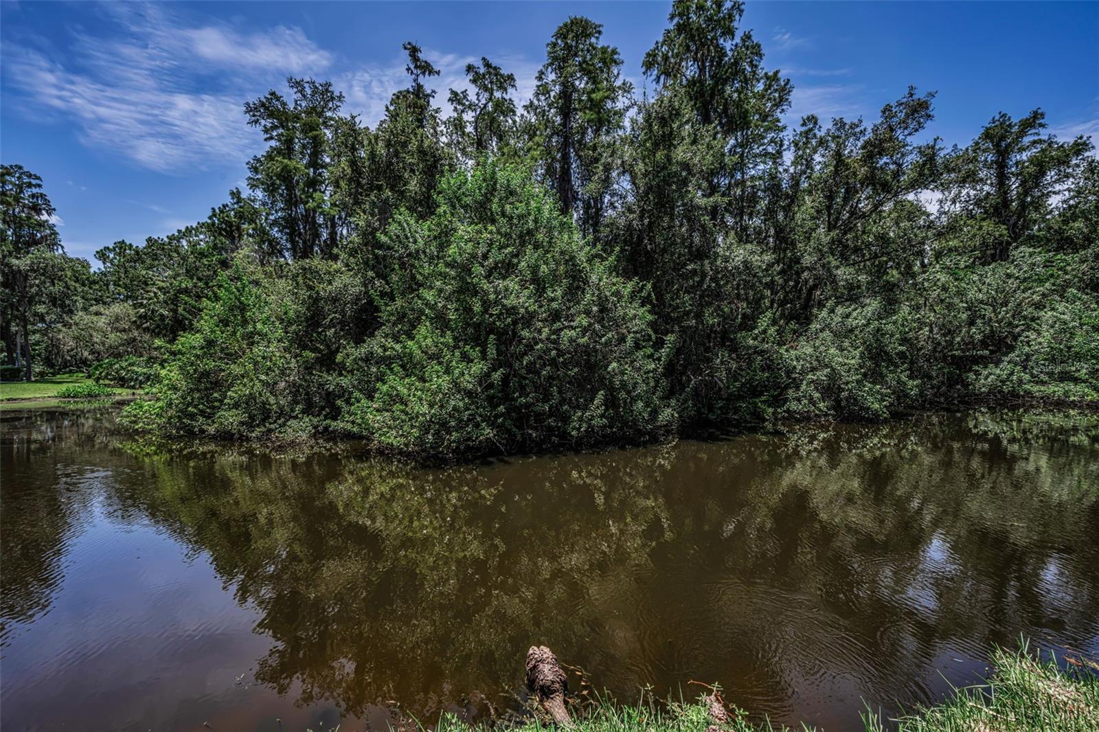 EAST LAKE WOODLANDS PINEWINDS - Residential