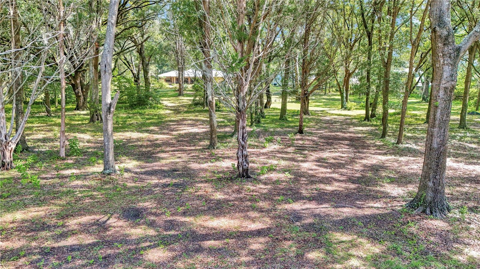 KING RANCH OF FLA RANCHETTES - Residential
