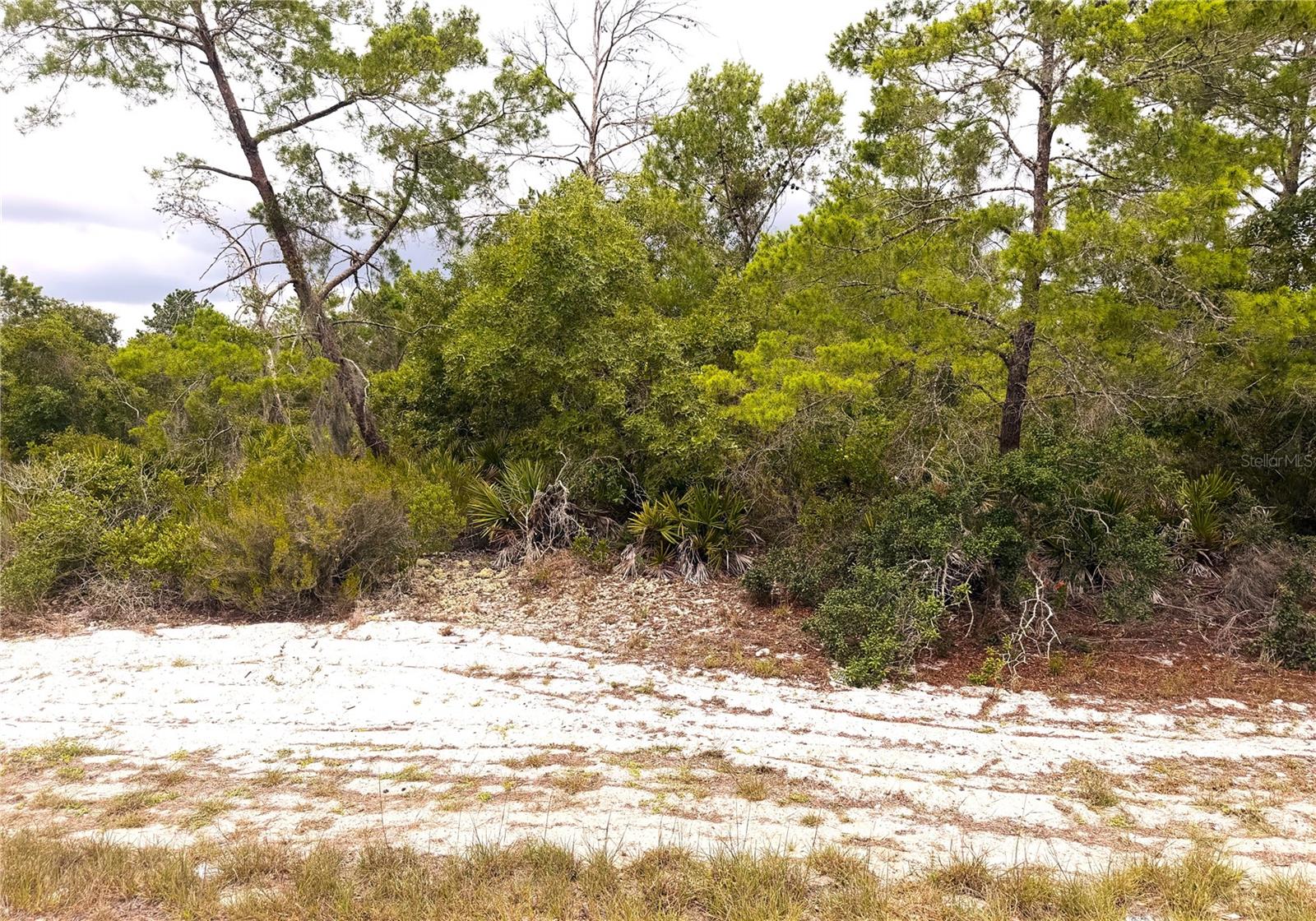 Build your Florida dream home on this spacious 0.26-acre residential lot located in the growing community of Lake Placid. Situated on Coolidge Ave NE, this vacant parcel offers plenty of room for a custom home, garage, and outdoor living space. Enjoy the peaceful surroundings while remaining conveniently close to shopping, dining, schools, medical facilities, and the many lakes that make Lake Placid famous. Whether you're looking to build now or invest for the future, this property presents an excellent opportunity in a desirable Highlands County location.