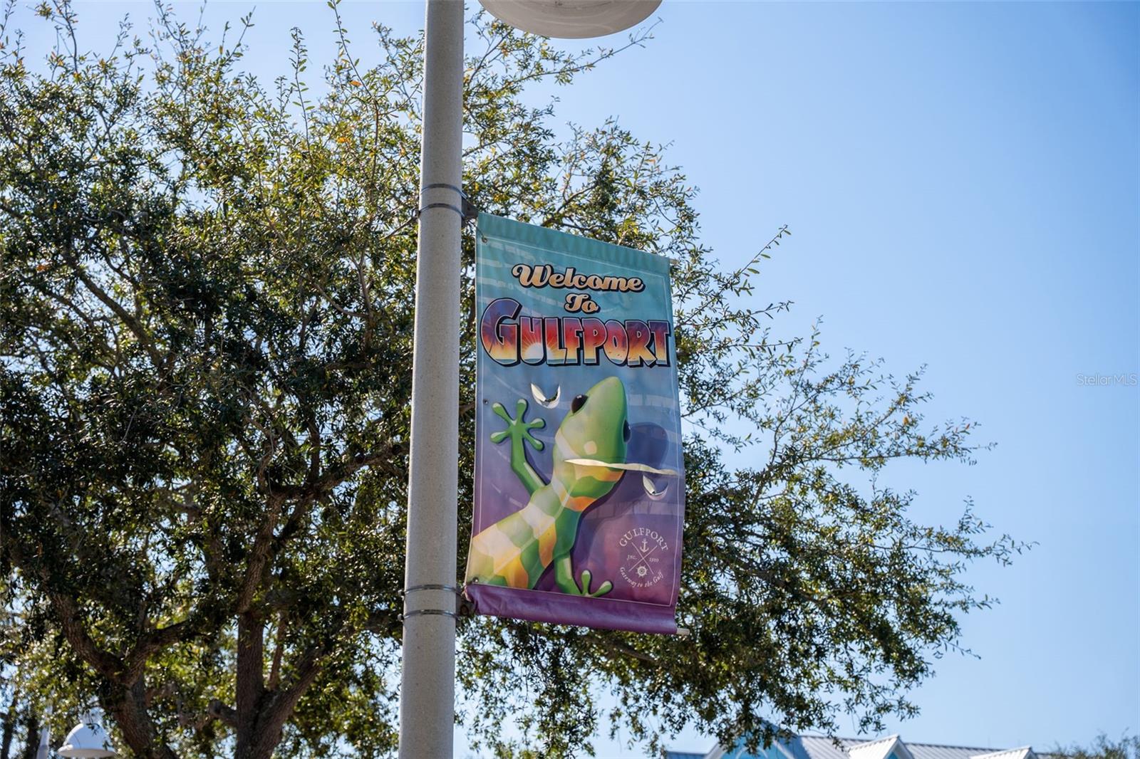 TOWN SHORES OF GULFPORT - Residential