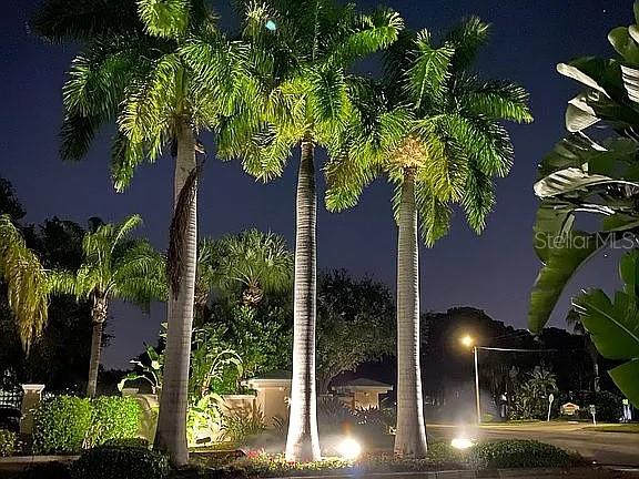 THE PALMS OF CORTEZ - Residential