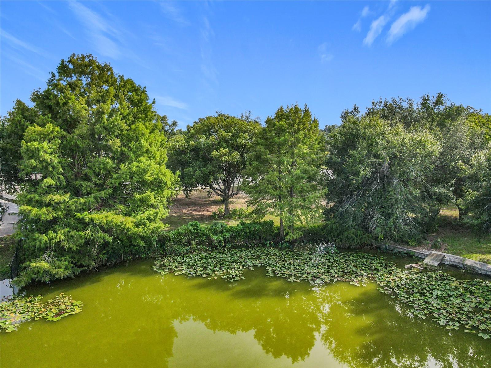 LEESBURG SCHOOL VIEW - Land