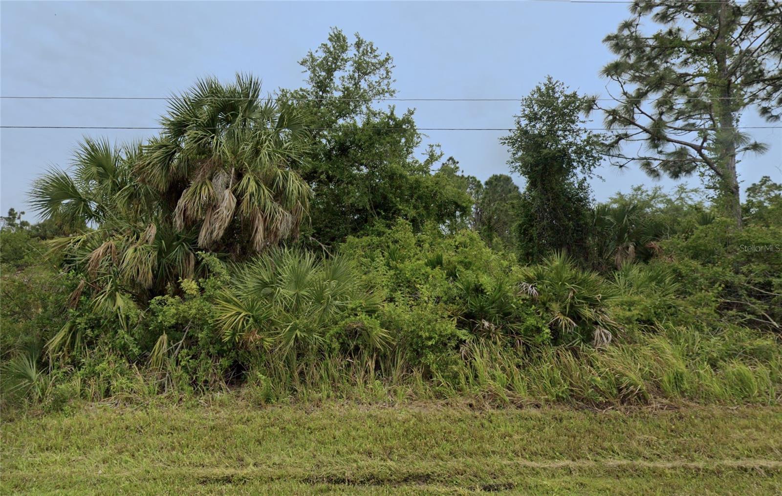 Under contract-accepting backup offers. Located in the riverfront community of Gulf Cove, this lot offers a great opportunity to build your Florida dream home or invest for the future. The property is currently in Flood Zone X and public water available. Gulf Cove also offers a voluntary HOA, and for a reasonable annual fee, members can access the community boat ramp leading to the Myakka River, Charlotte Harbor, and beyond.  Enjoy the Southwest Florida lifestyle with nearby boating, fishing, golf, shopping, dining, parks, and Gulf beaches. Manasota Key and Englewood Beach are just a short drive away, with Port Charlotte, North Port, and Punta Gorda also within easy reach. Buyer to verify all information, including zoning, utilities, flood zone, HOA details, building requirements, and intended use directly with Charlotte County and the appropriate utility providers.