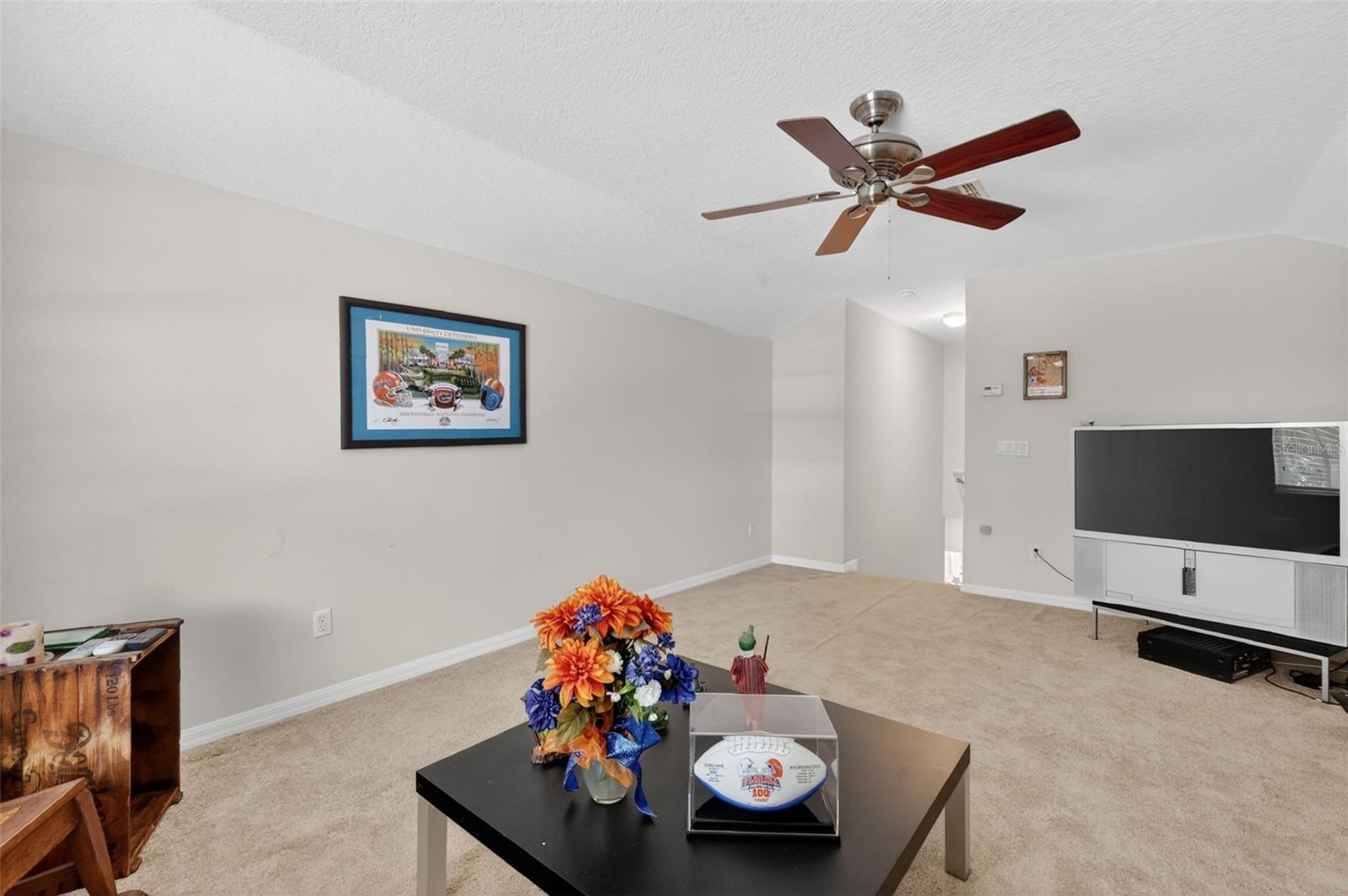 COUNTRY CLUB OF MOUNT DORA - Residential