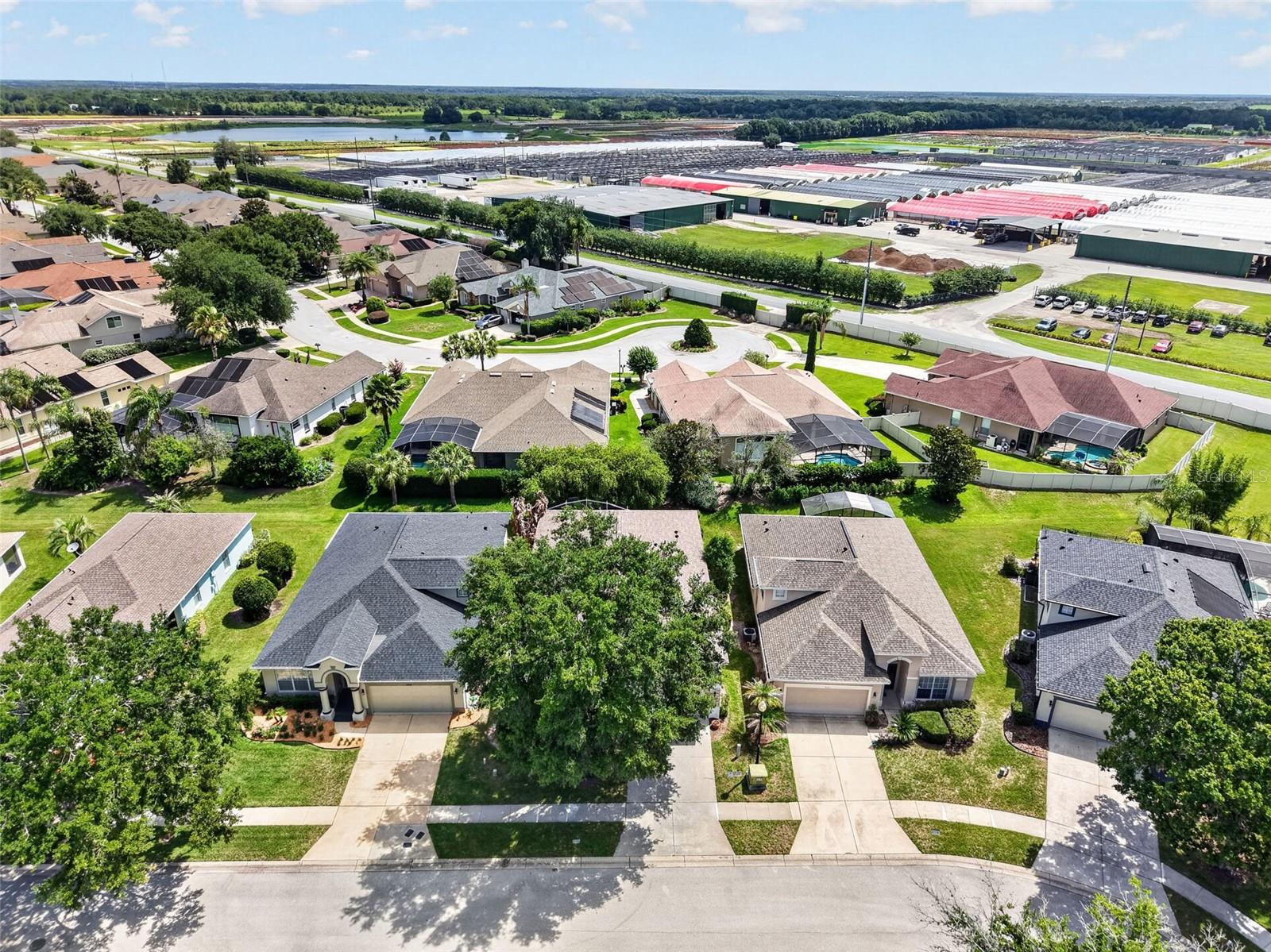 COUNTRY CLUB OF MOUNT DORA - Residential