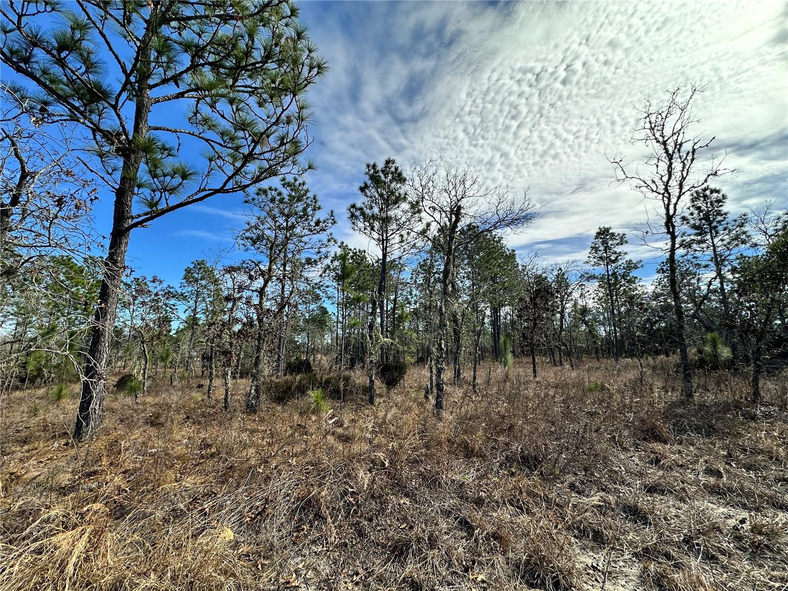 WILLISTON HIGHLANDS GOLF & C CLUB ESTATES - Land