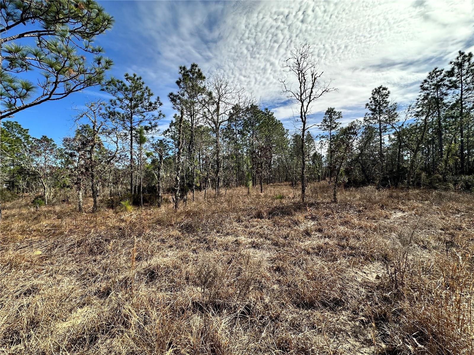 WILLISTON HIGHLANDS GOLF & C CLUB ESTATES - Land