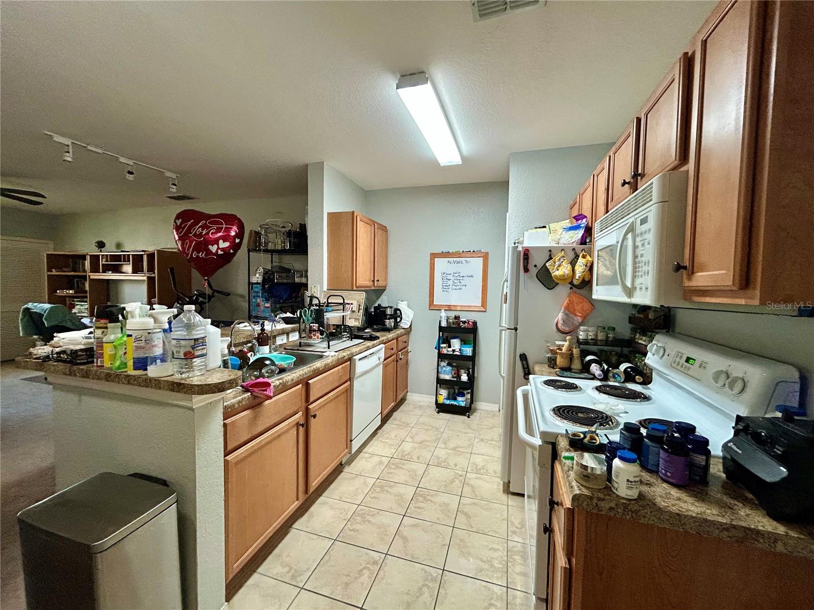 REGISTRY/MICHIGAN PARK CONDO - Residential
