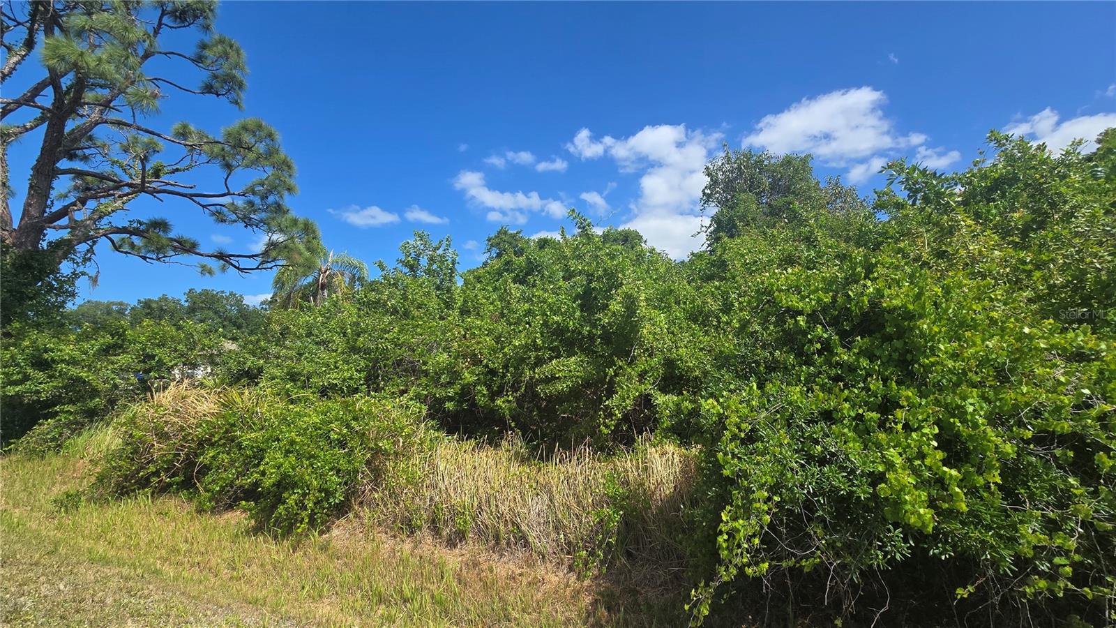MANASOTA GARDENS - Land