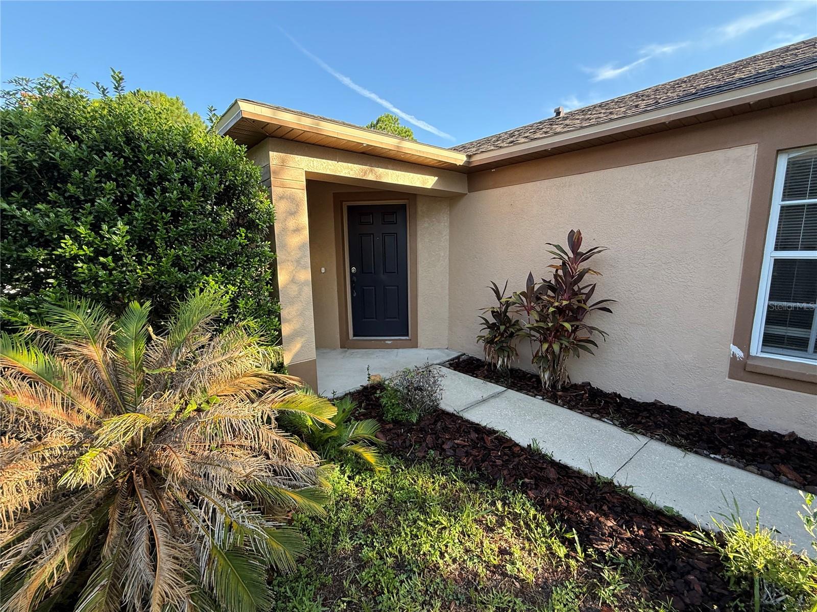 PANTHER TRACE PH 1A - Residential