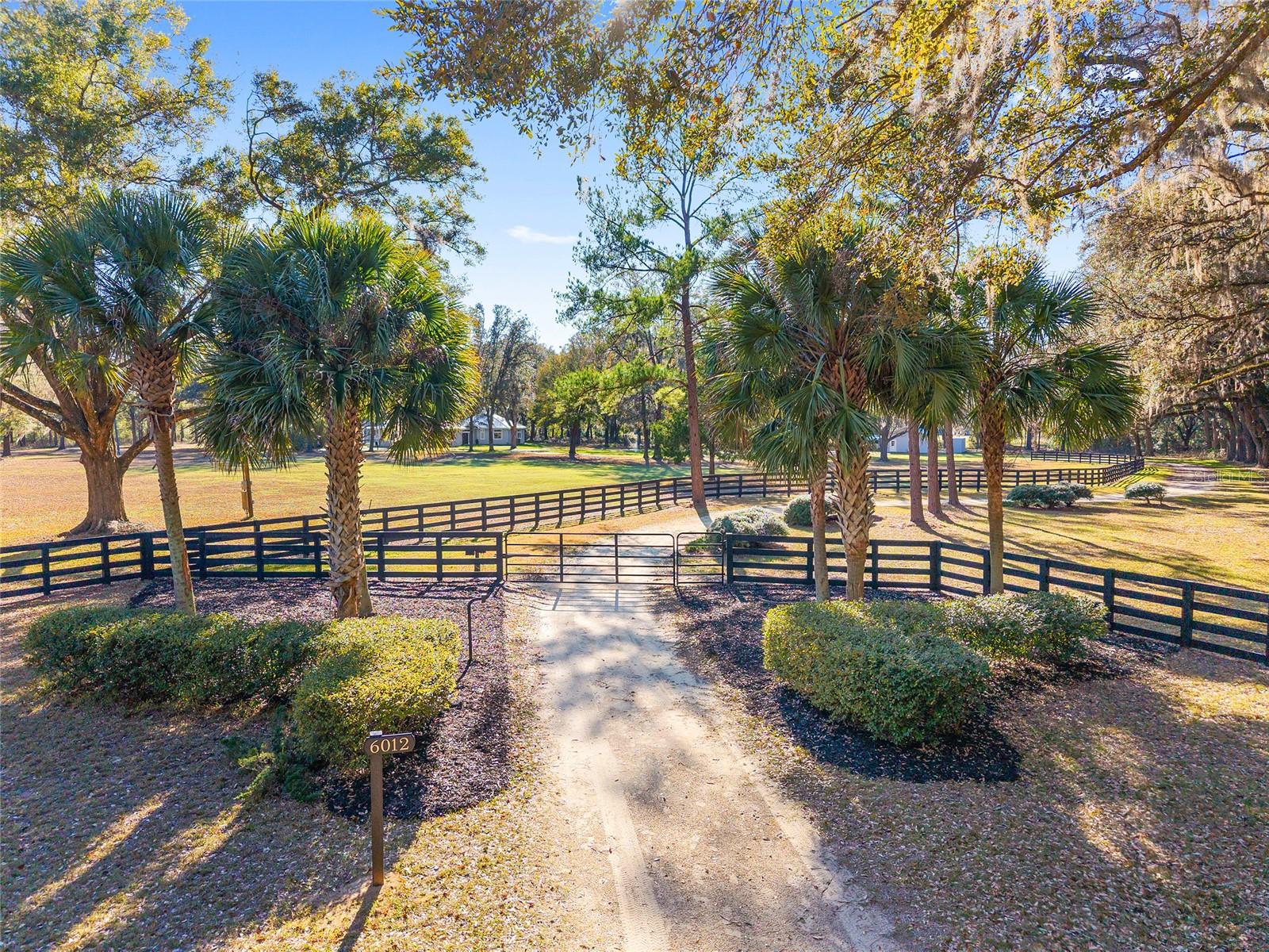 UNIVERSITY AVE PROPERTIES INC - Residential