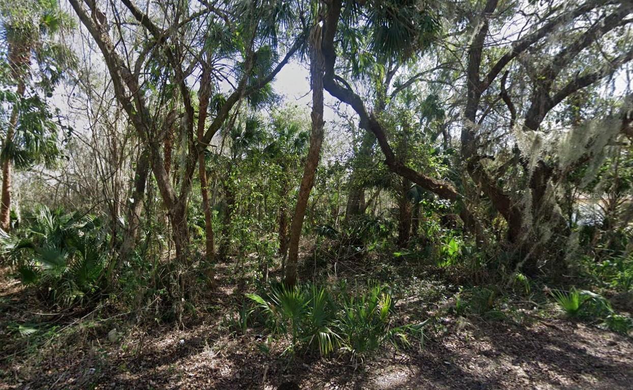 High and dry vacant lot in the heart of Oak Hill—not in a flood zone! This build-ready lot is surrounded by established homes and offers convenient access to utilities, making it perfect for your next residential project. A rare opportunity that qualifies for traditional financing, construction-to-perm financing, and even owner financing (terms and final price may vary). Whether you're a builder, investor, or future homeowner, this unique lot offers flexibility and potential in a growing area.