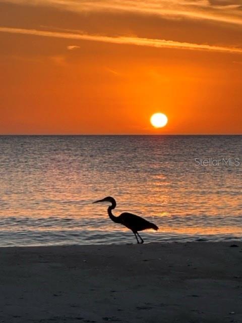 LONGBOAT KEY - Land