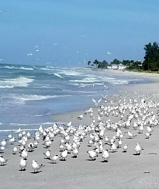 LONGBOAT KEY - Land