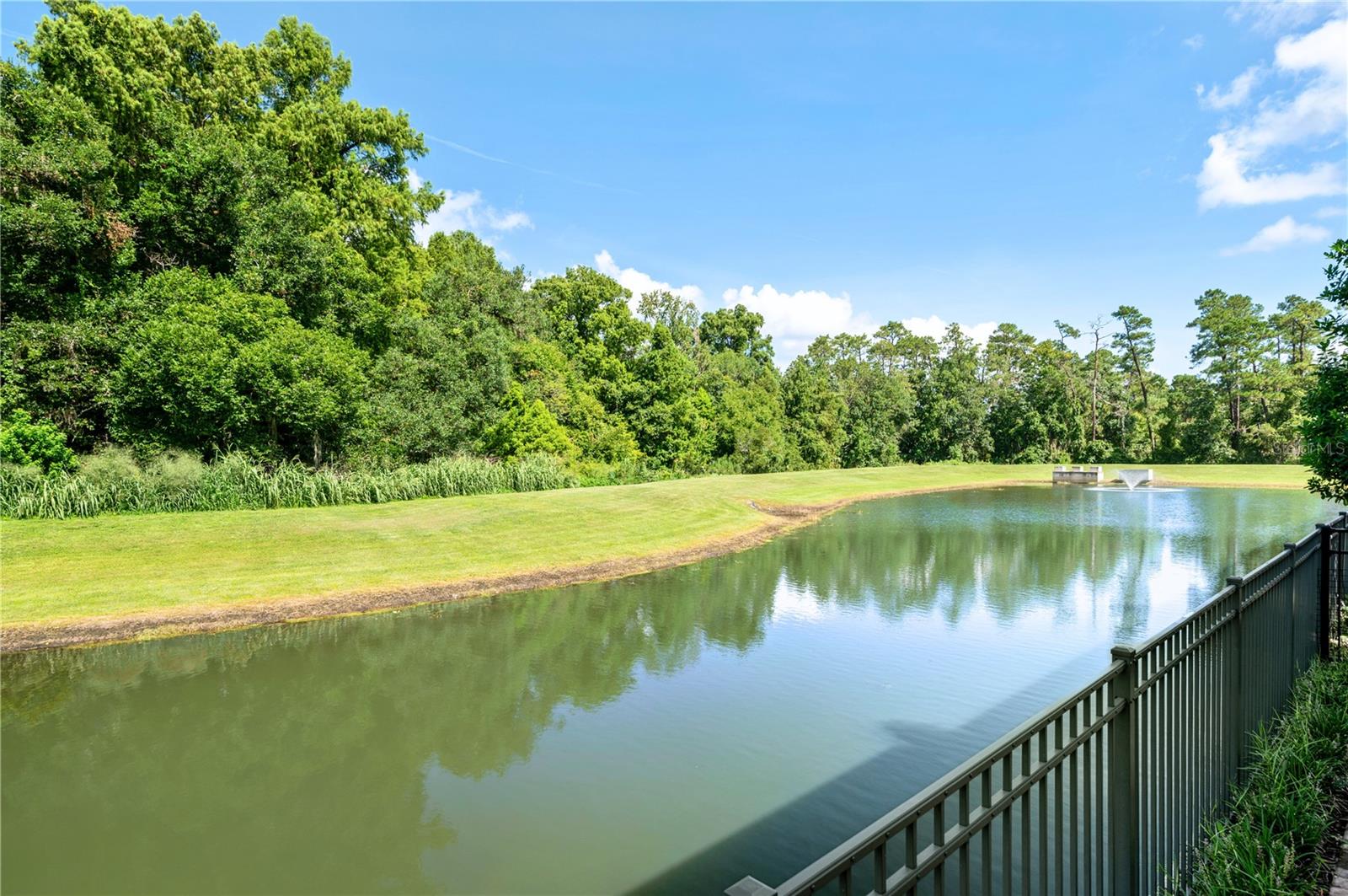 GRIFFIN PARK - Residential