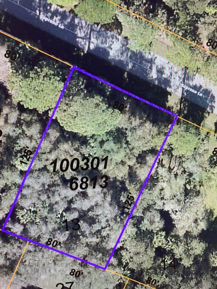 Come see THIS lot situated on a quiet residential street. Level and buildable, these parcels are located within a low risk (X) flood zone. These parcels will require a well & septic system. From this location, you are under two miles from shopping and multiple dining options. Take a drive; this might be the spot for your new home or investment. Must SEE! Build your dream home!  Two lots available, side-by-side!  Nearby to schools, shopping, dining, beaches, parks and entertainment.