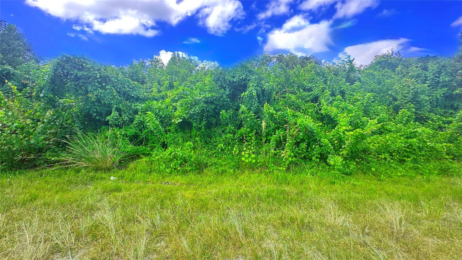 CAPE CORAL - Land