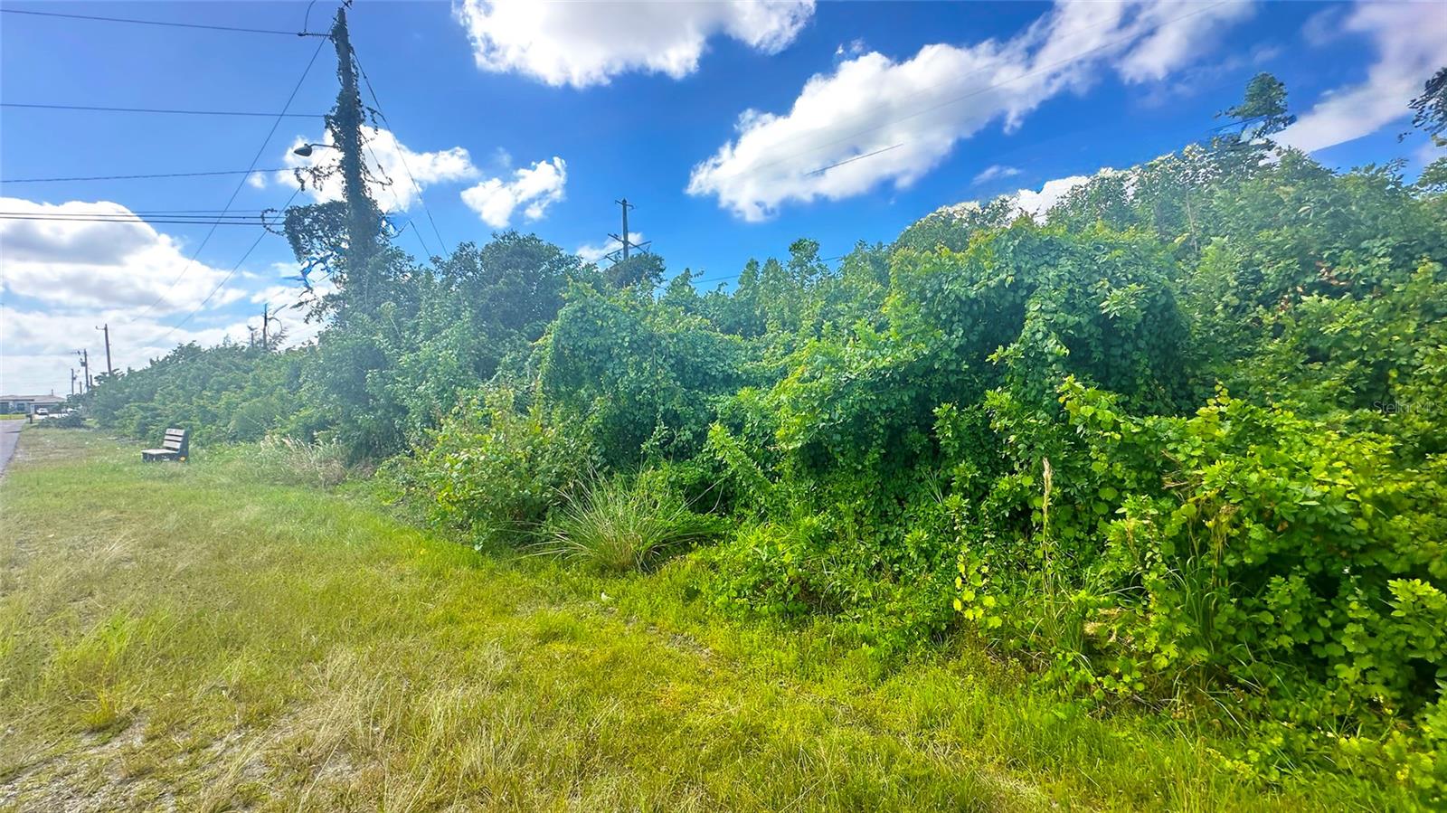 CAPE CORAL - Land