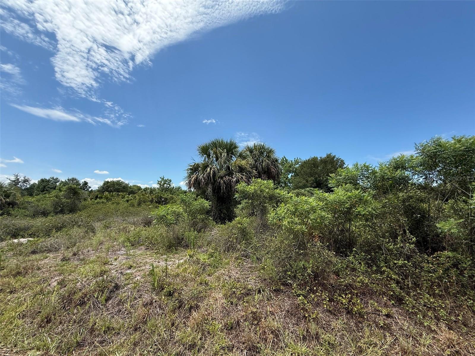 Discover the possibilities with this 1.25-acre vacant lot located at 20174 NW 268th St in Okeechobee. Situated in a peaceful rural setting, this property offers plenty of space for a site-built home, manufactured home, recreational use, or future investment. Enjoy the privacy and open surroundings while still being within driving distance to shopping, dining, and all that Okeechobee has to offer. Whether you’re looking for a weekend getaway spot or a place to create your own country retreat, this property is full of potential. Buyer to perform their own due diligence regarding zoning, land use, utilities, and building requirements.