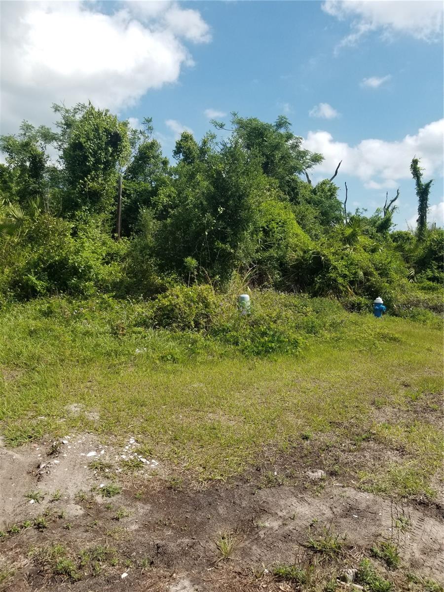 Nice lot in Palm Coast. Close to Shopping, Entertainment, Hospitals, fishing, and some of the beast beaches in the state. Flager, Crescent, and St. Augustine Beach are at your fingertips.