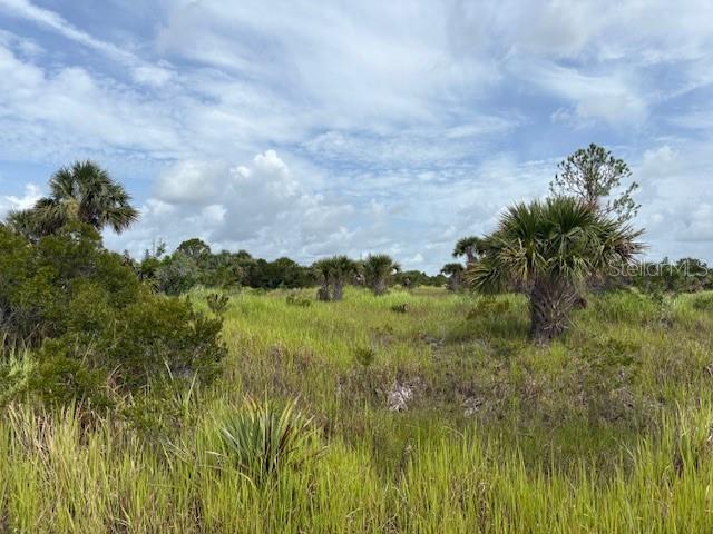 Investment opportunity for future use.  There are no utilities presently in the area -- large electric lines are not far away. It does not appear that the lot is currently buildable at this time. Recorded plat with roads but no infrastructure.