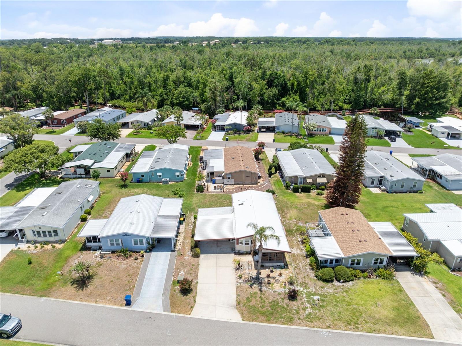TAVARES FOX RUN MOBILE HOME - Residential