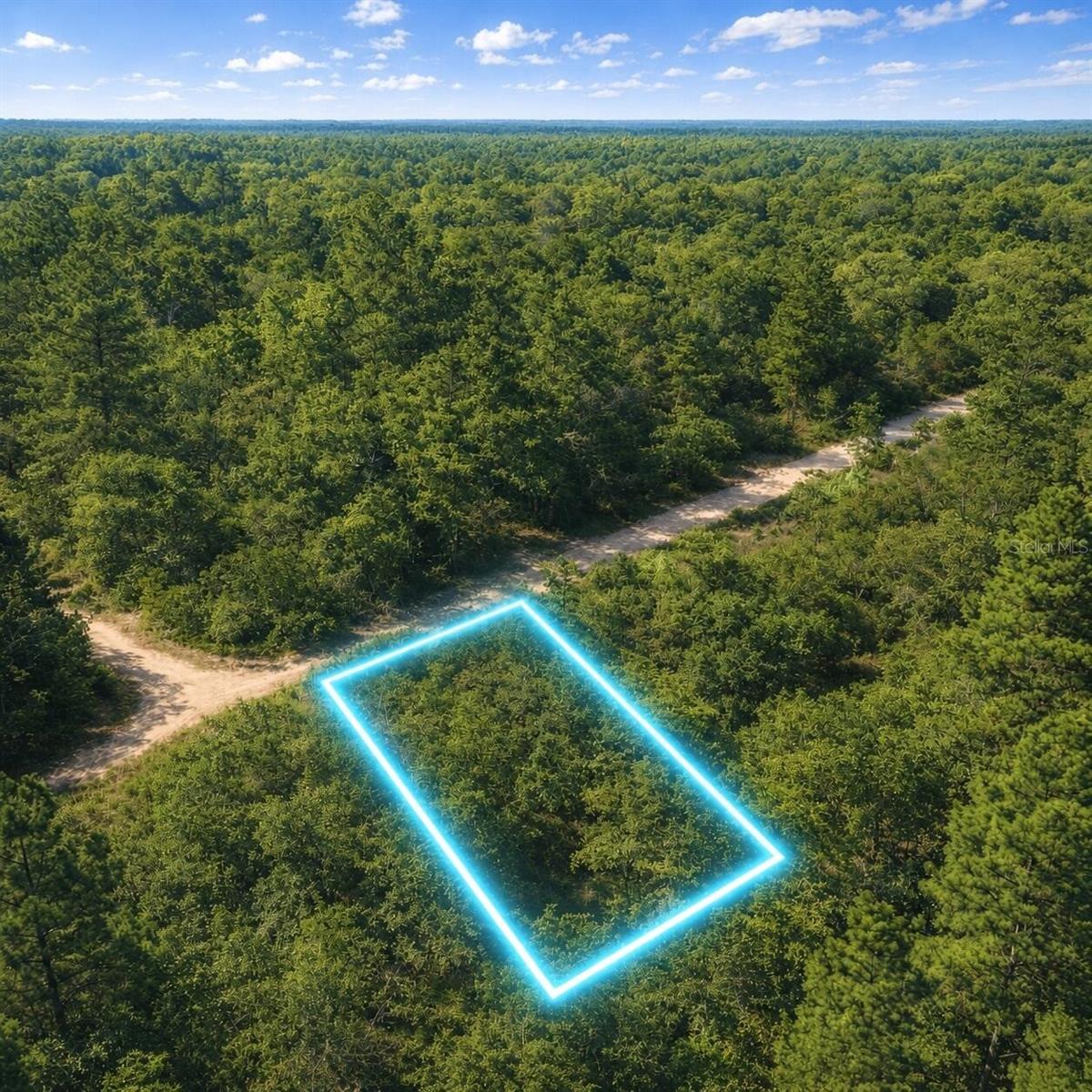 Great opportunity to own vacant land in the quiet Rainbow Park area of Ocala, FL. This private property has a peaceful natural setting with plenty of space and potential for a future homesite or long-term investment. Conveniently located near the World Equestrian Center, shopping, dining, and outdoor recreation, while still giving you the privacy and country feel many buyers are looking for. Come see the possibilities this Ocala property has.