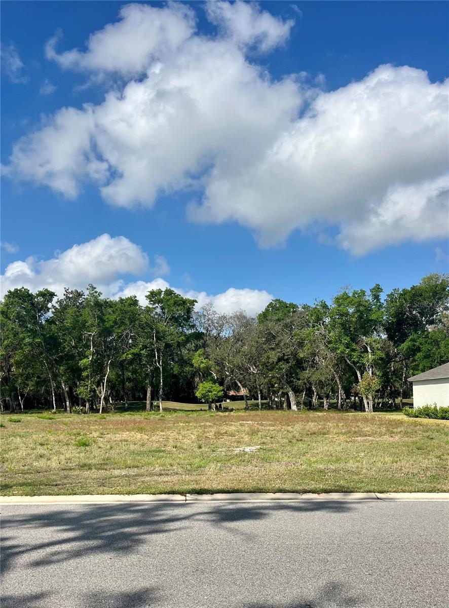 HALIFAX PLANTATION SEC M-2-B U - Land