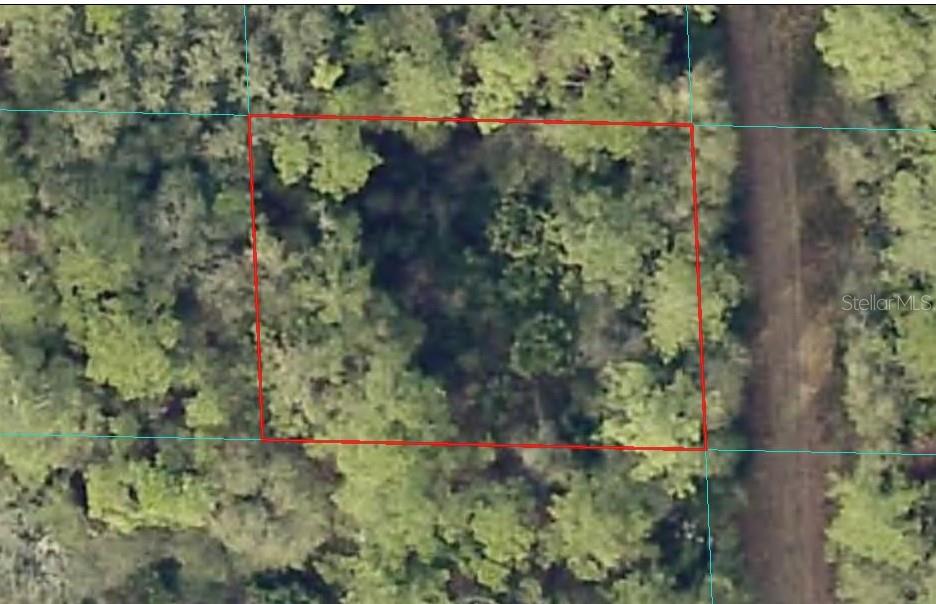 Check out this great lot zoned R4 for site built homes or mobiles for under $8,000 and NOT in a flood zone! NO HOA and no deed restrictions! Power lines are near the property and the property will need a well and septic tank. This home site offers a peaceful country setting. Everything is just a short drive away and the big cities are close with all the shopping you can hope for. Outdoor activities abound in the heart of Florida. You are close to the Ocala National Forest and not far from lakes and rivers. Come make this your new home.