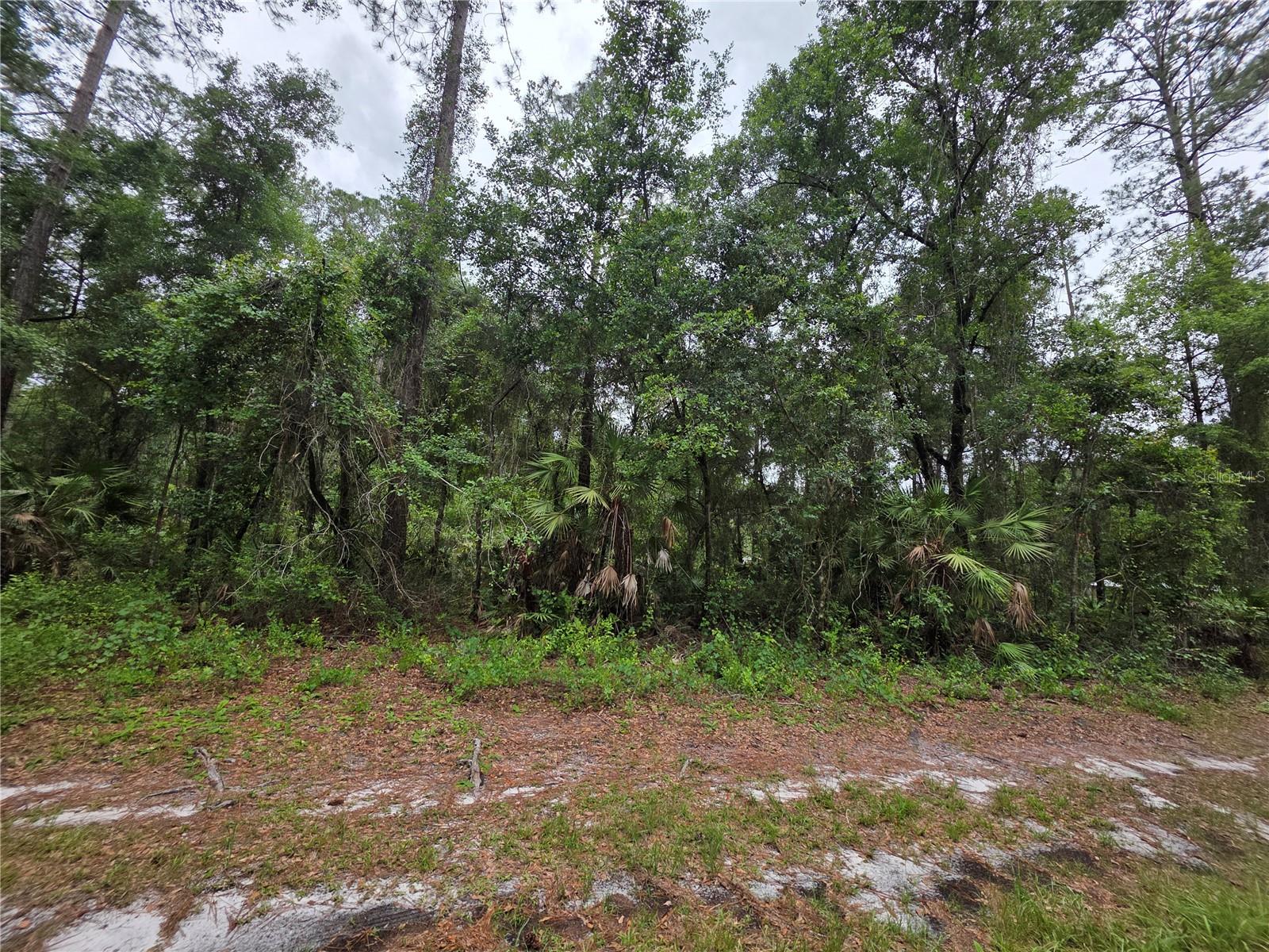 BLACK SINK CAMPSITES - Land