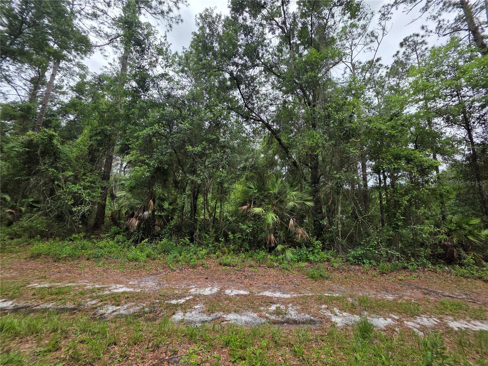 BLACK SINK CAMPSITES - Land