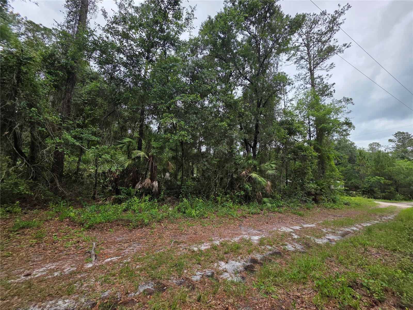 BLACK SINK CAMPSITES - Land