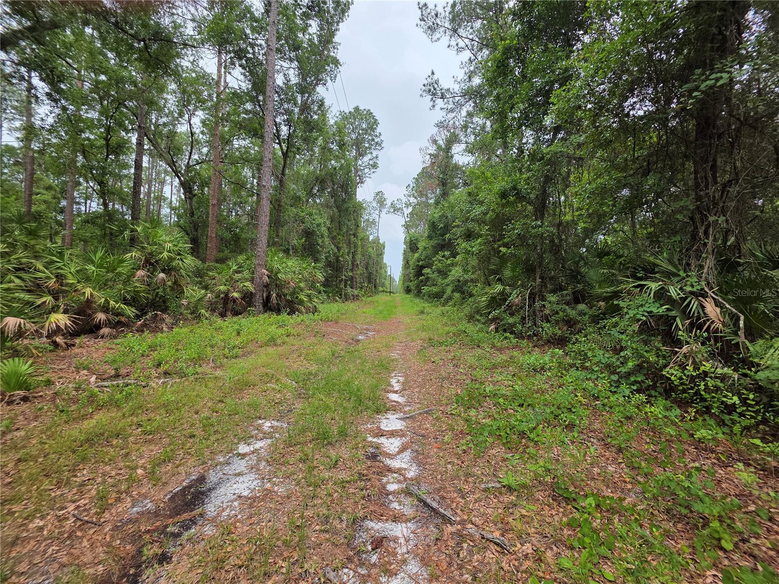 BLACK SINK CAMPSITES - Land