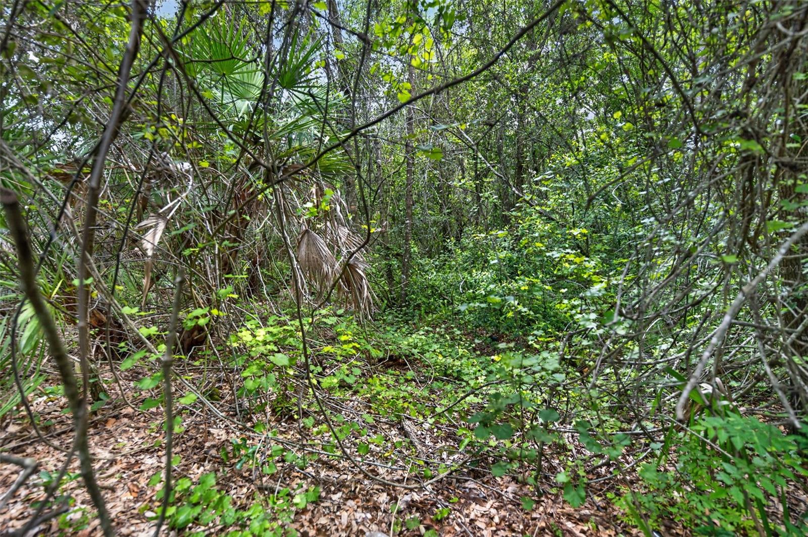 DELTONA LAKES UNIT 03 - Land