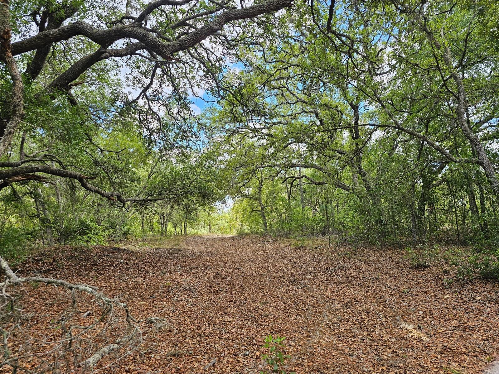 Dream Home Acreage! This 2.65 acres is heavily treed yet cleared in all the right places for buyers' convenience. High and dry, NO flood zone! NO HOA!! Homes only area within a rapidly growing region of Florida. Ocala, Inverness and The Gulf of America are just a 30-minute drive. Live the private, peaceful country life, yet close to all the urban amenities. There are two addresses. 2950 W Pompano Lane, Dunnellon, FL 34433 is being used for tax purposes. Per Citrus County, can easily be divided into two separate parcels. Don't wait! Call today for your chance to view this beautiful property and make it yours.