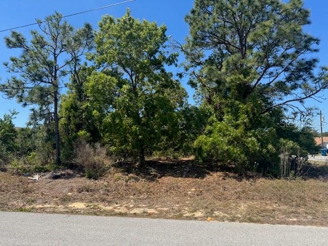 Exceptional Vacant Land Opportunity in Spring Hill, FLPresenting a rare opportunity to acquire prime vacant land in the desirable Spring Hill area. This expansive lot offers a blank canvas for residential development, a custom home, or a strategic investment. Situated in a peaceful and well-established neighborhood, the property combines privacy and tranquility with convenient access to local amenities, schools, shopping, and major roadways.With its level terrain and abundant potential, this land is ideal for buyers seeking flexibility and long-term value. Whether envisioning a private retreat, a custom-built home, or a thoughtful investment, this property represents a sound opportunity in a growing community.Capitalize on the chance to shape your future with this outstanding parcel of land in Spring Hill.
