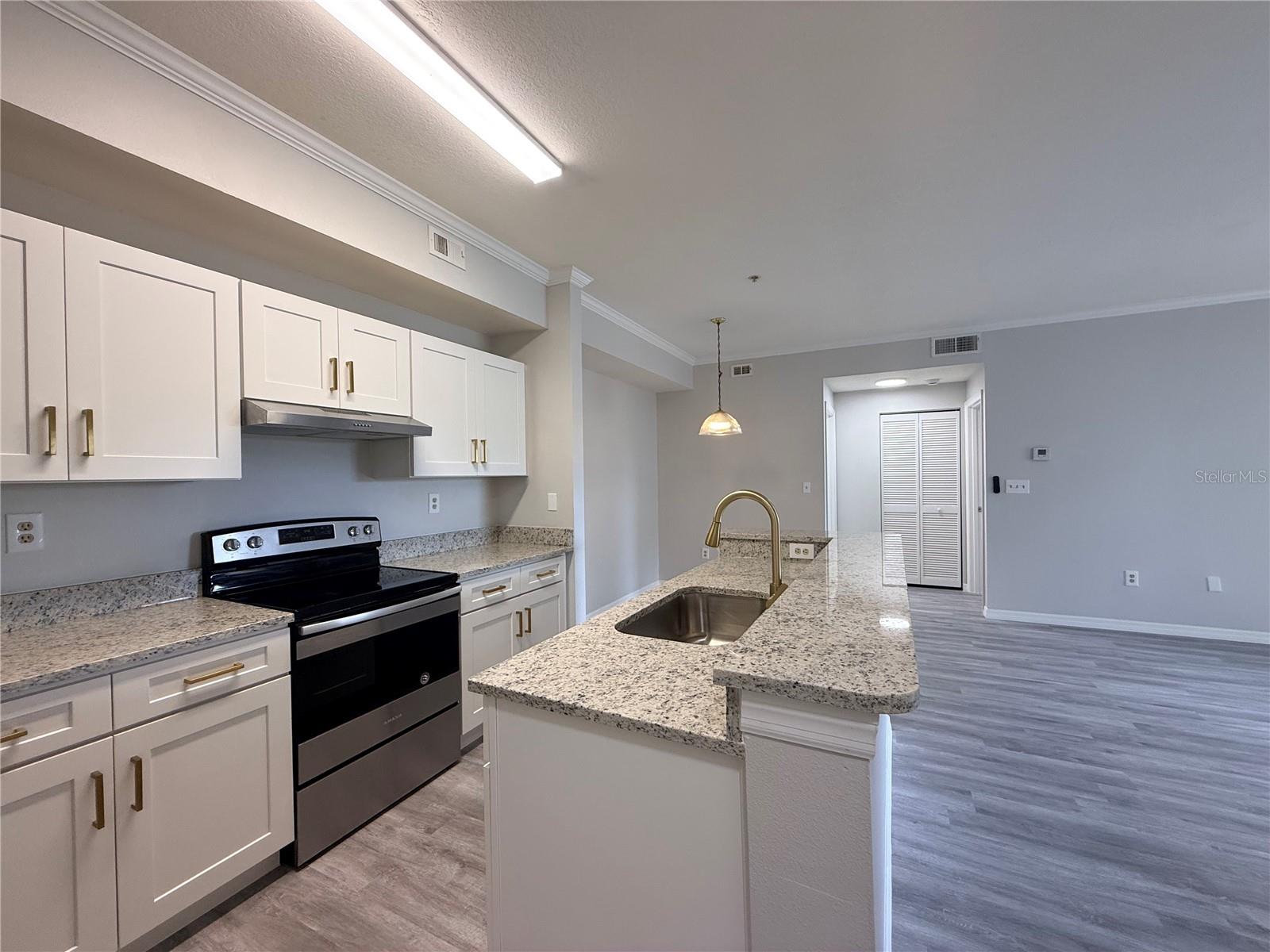 THE PINNACLE AT CARROLLWOOD A - Residential